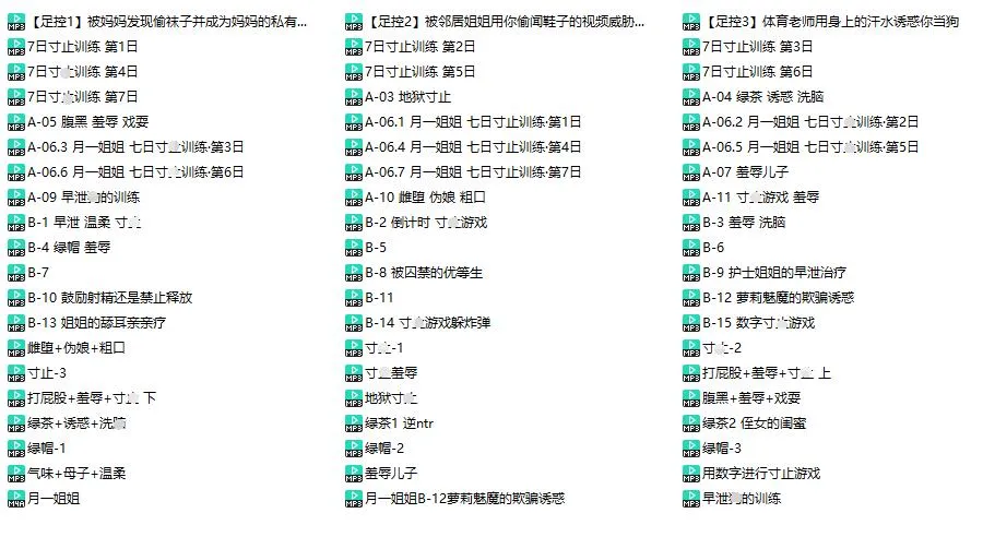 【月一姐姐】剧情向中文音声收录合集60部/20小时