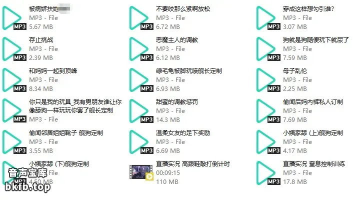 B站兰铃木吉舰长私人订制音声18部 1