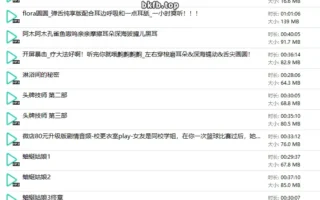 B站Flora圆圆/圆圆小石头中文音声11部