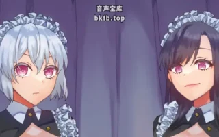 RJ01590271-总计超过2米的抖S双胞胎的败北