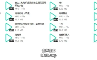 玉崽剧情向中文音声17A