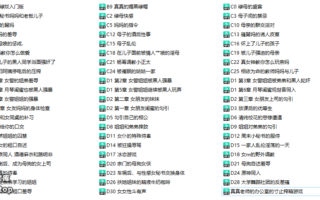 真真剧情向中文音声63A
