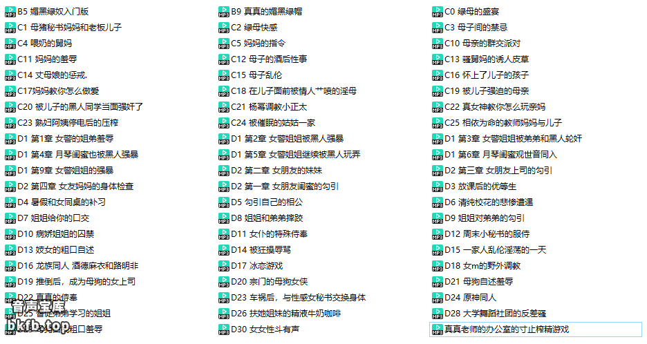 真真剧情向中文音声63A 1
