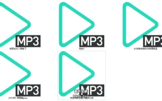 吱吱叫之之中文音声5A