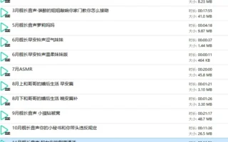 B站酸柚粥sayo：2024年舰长音声合集13A