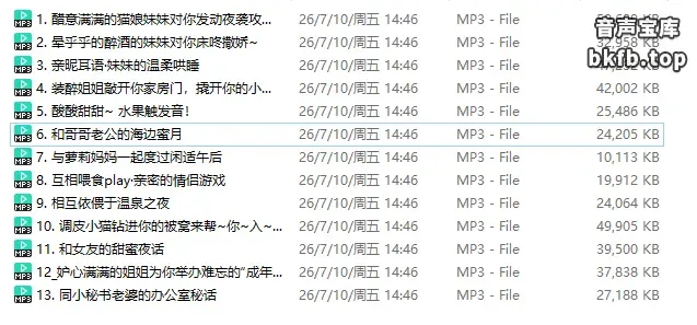 B站酸柚粥sayo：2025年2月 生日回 一周年复刻音声13A 1