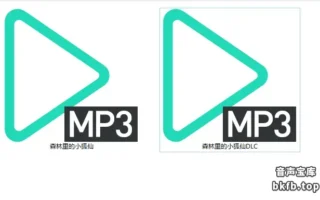 B站酸柚粥sayo：2025年8月舰长音声2A