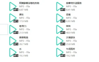 白水静香：剧情向中文音声20A