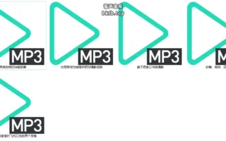 B站喝过奶啤嘛/雪音yukine：中文音声5A