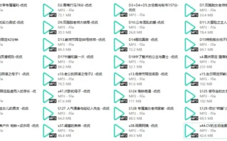 优优：中文音声剧情向合集32A