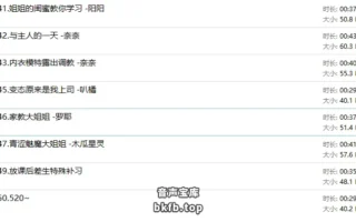 呢喃驿站/呢喃音声社：中文音声8A