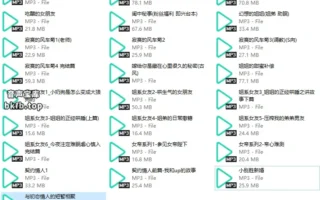 不斟酒/酒Whiskey：男性向中文音声合集25A