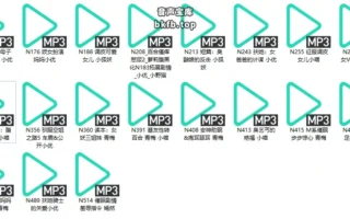 小野猫：N系列音声合集24部 – 17.8小时/MP3/2.38G